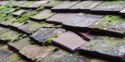 Boddam roof repair costs